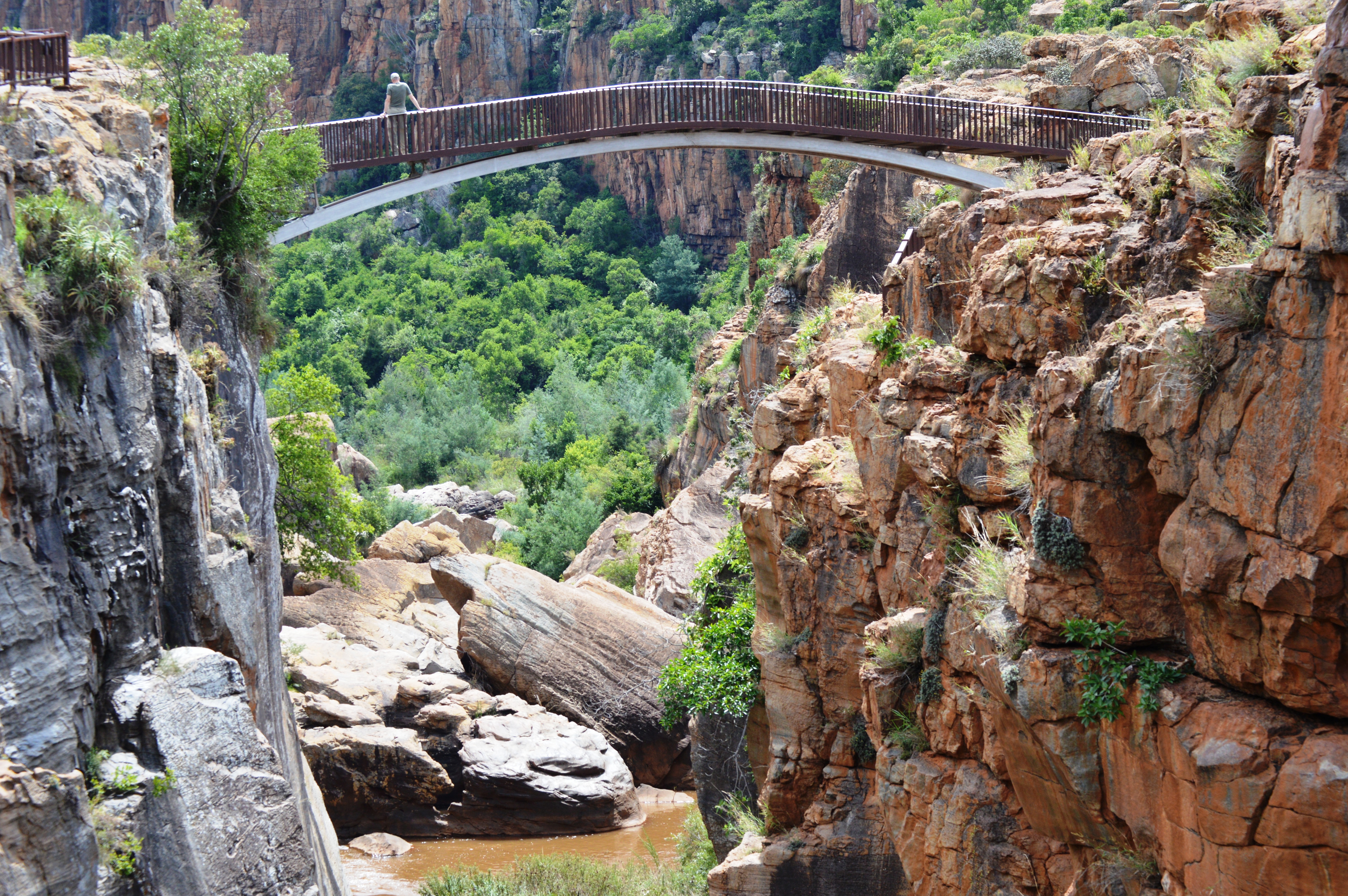 Kruger National Park Safari